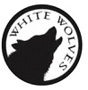 《白狼》系列儿童阶梯读物