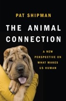 《与动物的联结：探究我们如何成为人类的新视角》