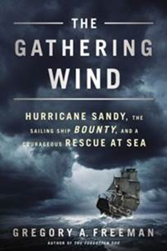 《聚风：飓风桑迪、帆船博爱号与海上英勇救援》