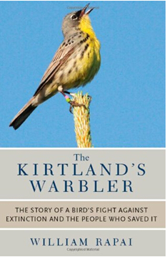 《黑纹背林莺：关于一只为生存抗争的鸟和一群拯救它的人的故事》
