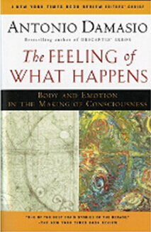 《感知事物的发生：身体与情感在意识形成过程中的作用》