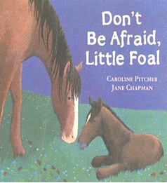 Don't be Afraid Little Foal
