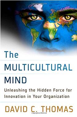 《多元文化思维：发掘组织中隐藏的创新力量》