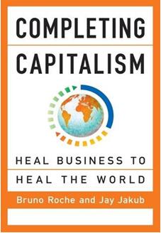 《完成资本主义：从治愈商界到治愈世界》