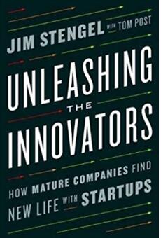 《释放创新者：成熟公司如何与初创公司一起找到新生机》