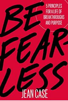 《无所畏惧：拥有突破和目标的五大原则》