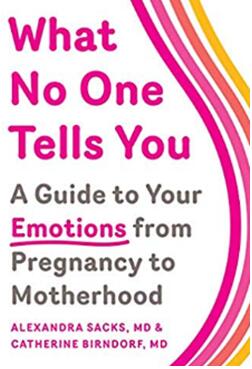 《没有人告诉你的事：从怀孕到成为母亲的情绪指南》