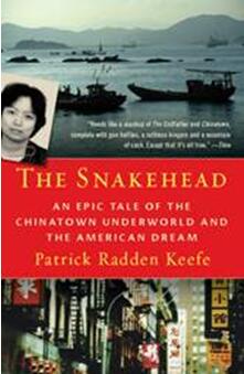 《蛇头：唐人街黑社会和美国梦》