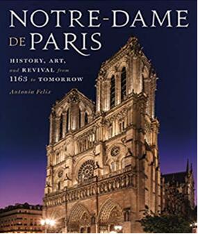 《巴黎圣母院：1163年之后的历史、艺术、和复兴》