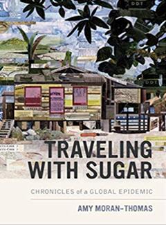 《与糖同行:全球流行病编年史》