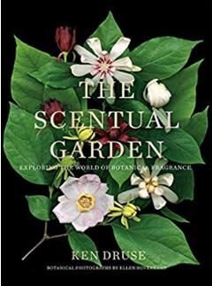 《香味花园：探索植物芬芳的世界》