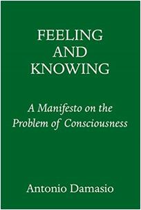 《感受和认识：一本有关意识问题的宣言》