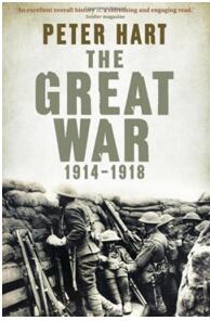 《世界大战1914-1918：一战中的关键战役和重要战场》