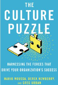 《企业文化之谜：利用组织文化驱动成功》