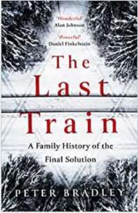 《最后一列火车：“最终解决”下的家族史》