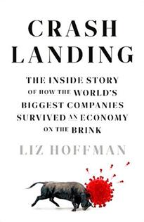 《迫降：世界上最大的公司如何在经济濒临崩溃的情况下幸存下来的内幕故事》
