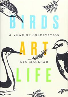 《鸟，艺术，人生》