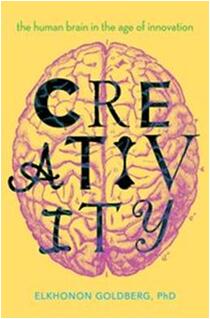 《创造力：人类大脑在创新时代的革命》