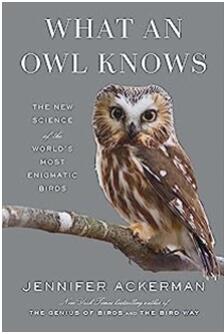 《猫头鹰的智慧：关于世界上最神秘鸟类的新科学》