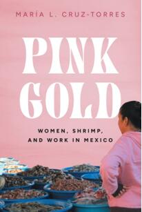 《墨西哥“粉矿”：女性、龙虾和工作》
