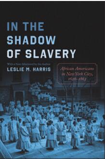 《在奴隶制的阴影下：纽约市的非裔美国人，1626-1863》