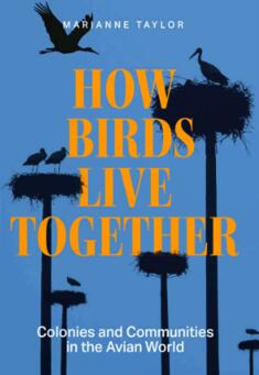 《鸟类如何共同生活：鸟类世界的殖民地和群落》