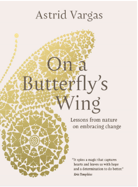 《蝴蝶的翅膀：拥抱变化》
