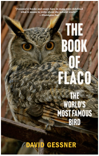 《弗莱科之书：世界上最著名的鸟》
