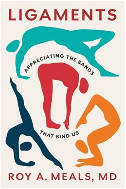 《韧带：致敬维系我们的纽带》