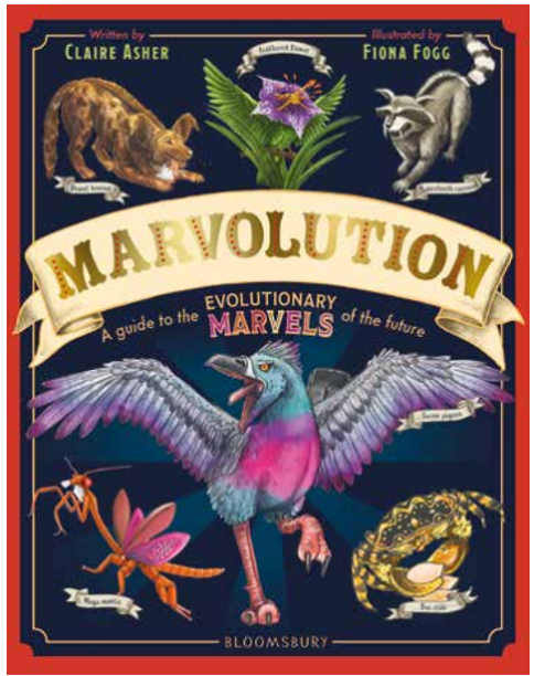 《进化奇观：未来演化指南》