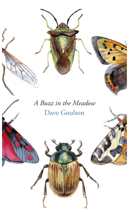 《草地上的嗡嗡声：一位昆虫学家的自然笔记》