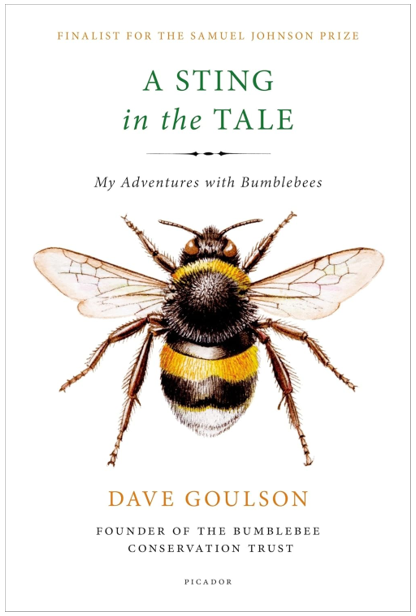 《黄蜂传奇：我与大黄蜂的冒险之旅》