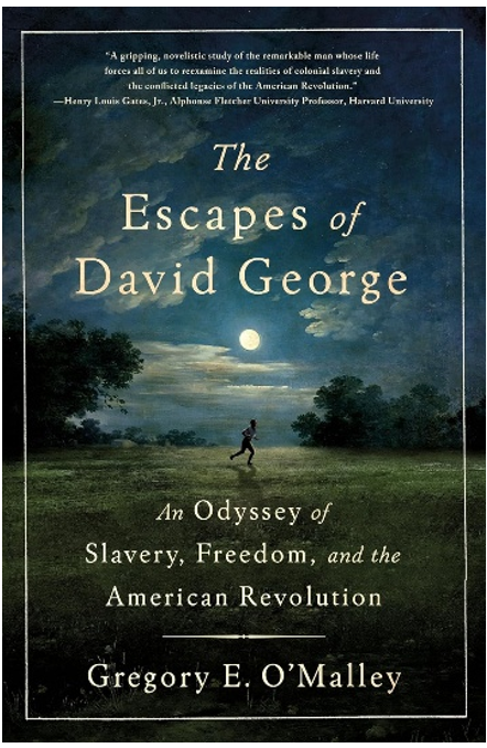《逃向自由：大卫·乔治与美国革命中的黑奴命运》